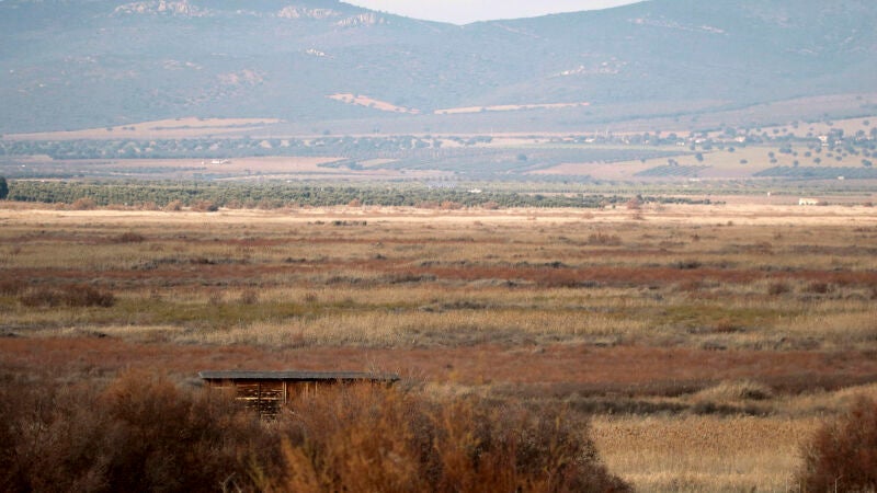 Detectan la presencia de fitosanitarios en Doñana y Tablas de Daimiel
