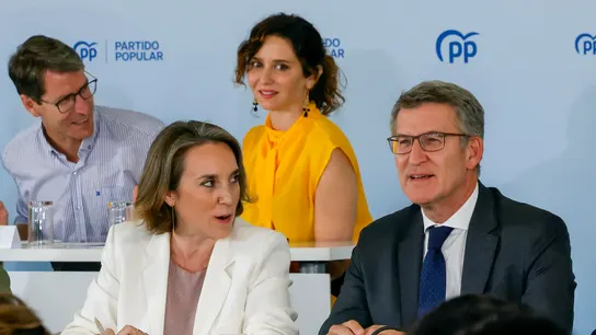 Alberto Nuñez Feijóo durante la Junta Directiva Nacional del PP Alberto Nuñez Feijóo durante la Junta Directiva Nacional del PP
