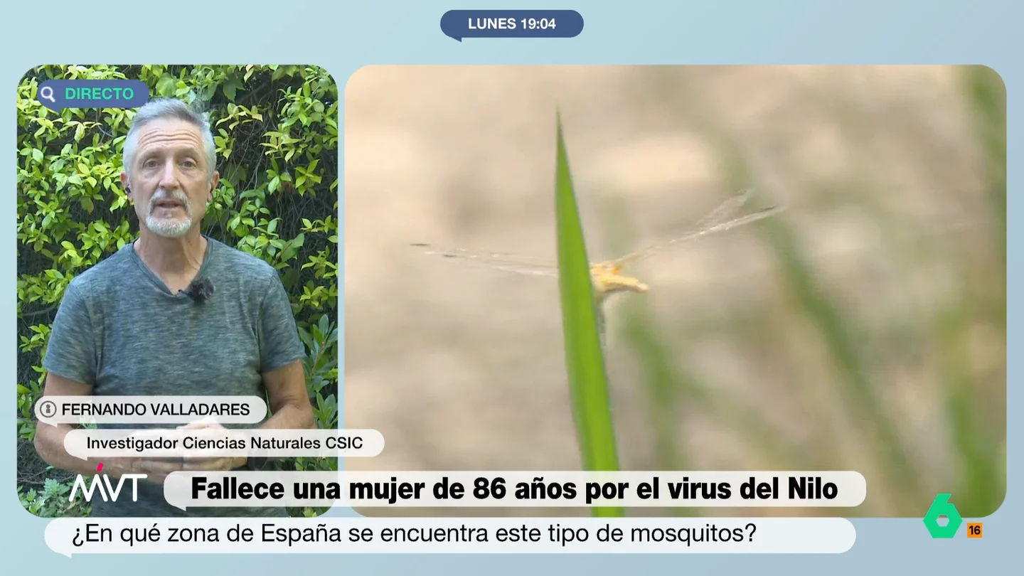 Fernando Valladares, investigador del CSIC Fernando Valladares, investigador del CSIC
