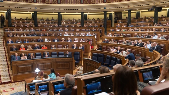 Vista general de las votaciones durante un pleno en el Congreso de los Diputados, a 20 de junio de 2024, en Madrid (España). Vista general de las votaciones durante un pleno en el Congreso de los Diputados, a 20 de junio de 2024, en Madrid (España).