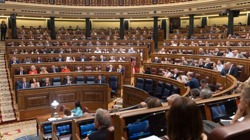 Vista general de las votaciones durante un pleno en el Congreso de los Diputados, a 20 de junio de 2024, en Madrid (España). 