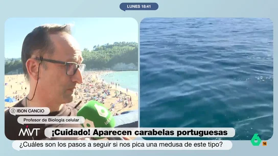 carabelas portuguesas carabelas portuguesas