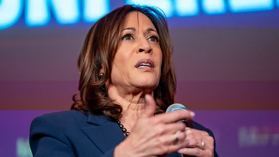 La vicepresidenta de los Estados Unidos Kamala Harris habla en la Conferencia Legislativa de la Asociación Internacional de Bomberos. La vicepresidenta de los Estados Unidos Kamala Harris habla en la Conferencia Legislativa de la Asociación Internacional de Bomberos.
