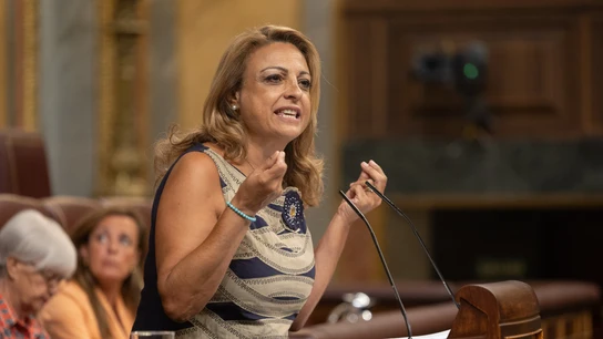 La diputada de Coalición Canaria (CC), Cristinta Valido, en la tribuna del Congreso de los Diputados este martes. La diputada de Coalición Canaria (CC), Cristinta Valido, en la tribuna del Congreso de los Diputados este martes.
