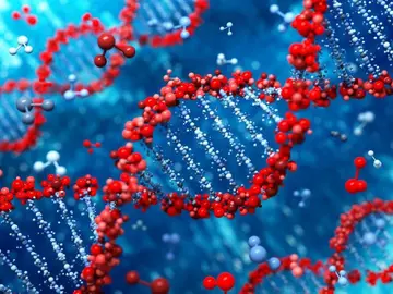 Ilustración de una cadena genética Ilustración de una cadena genética