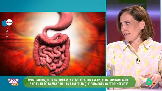 ¿Qué provoca la gastroenteritis? Boticaria García desvela algunas de sus causas La farmacéutica visita Zapeando para hablar sobre una enfermedad habitual en verano: la gastroenteritis. Esta está provocada por tres bacterias, principalmente: salmonella, campylobacter y escherichia coli.
