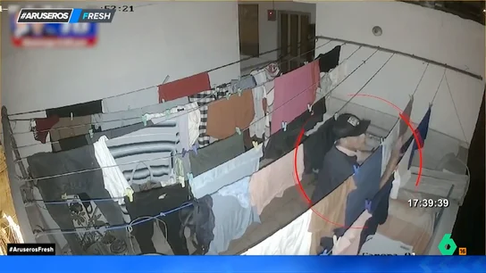 Un ladrón se cuela en una comunidad de vecinos y roba la colada que estaba colgada Un ladrón se cuela en una comunidad de vecinos y roba la colada que estaba colgada