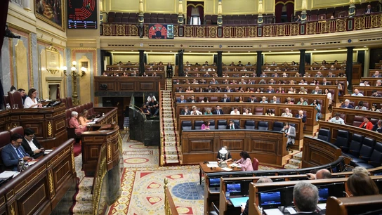 Vista general del hemiciclo Vista general del hemiciclo, durante una sesión plenaria extraordinaria, en el Congreso de los Diputados, a 23 de julio de 2024, en Madrid (España).