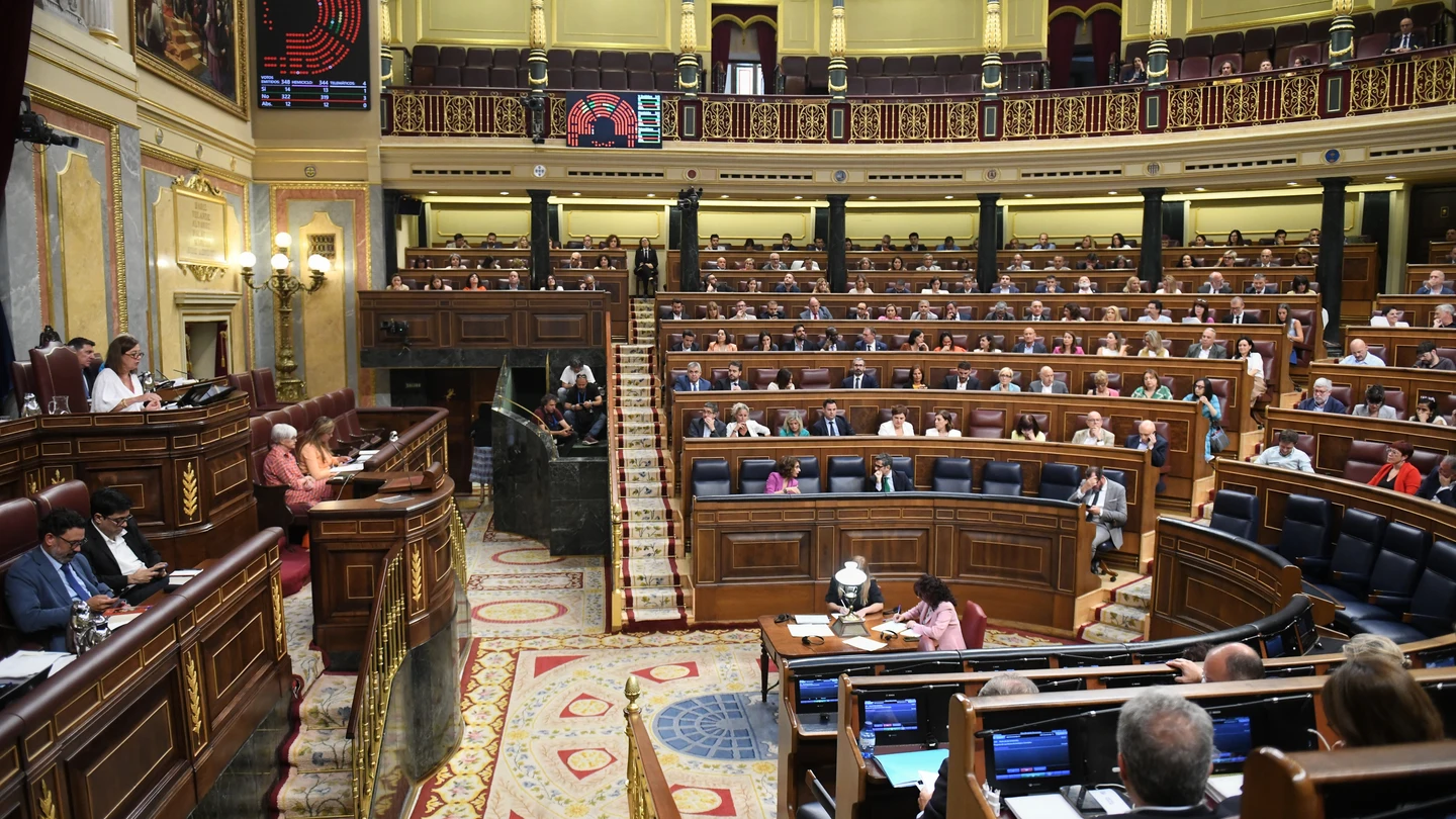 Vista general del hemiciclo Vista general del hemiciclo, durante una sesión plenaria extraordinaria, en el Congreso de los Diputados, a 23 de julio de 2024, en Madrid (España).