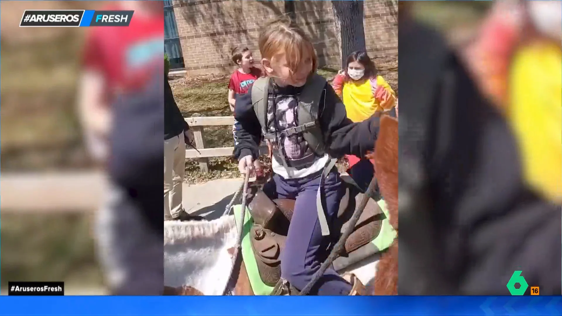 Una madre recoge a su hija al colegio con dos caballos para pasear camino a casa: "Es la envidia de sus compañeros"