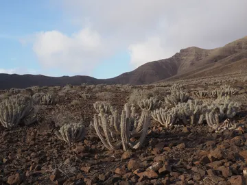 Parque Natural de Jandía, Fuerteventura Parque Natural de Jandía, Fuerteventura