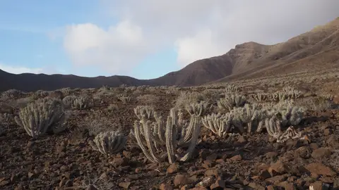 Parque Natural de Jandía, Fuerteventura Parque Natural de Jandía, Fuerteventura