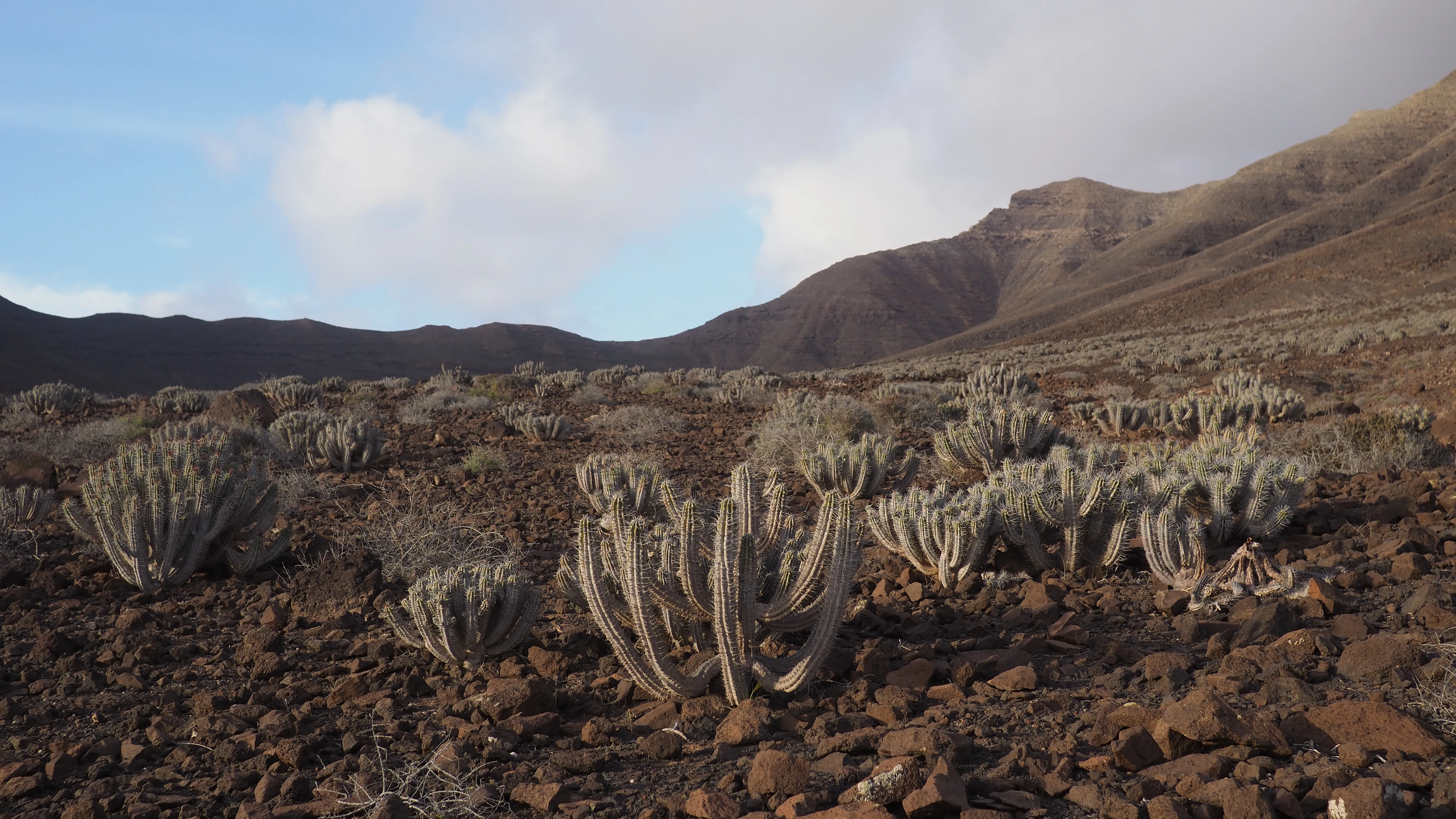 Parque Natural de Jandía, Fuerteventura Parque Natural de Jandía, Fuerteventura