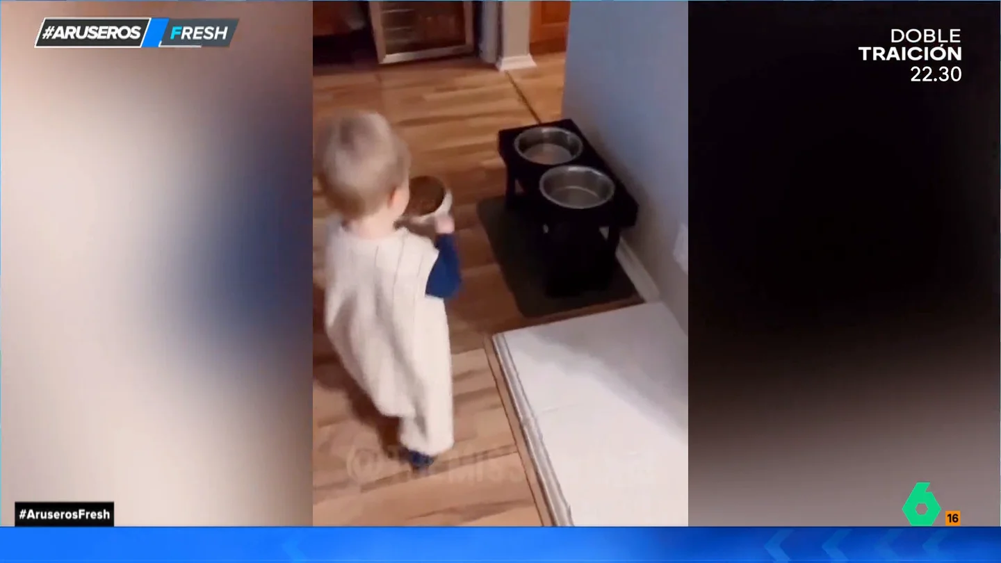 El gracioso vídeo en el que un niño intenta poner la comida en el comedero de su perro pero no lo consigue El gracioso vídeo en el que un niño intenta poner la comida en el comedero de su perro pero no lo consigue
