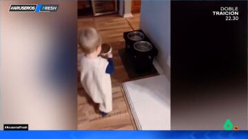 El gracioso vídeo en el que un niño intenta poner la comida en el comedero de su perro pero no lo consigue