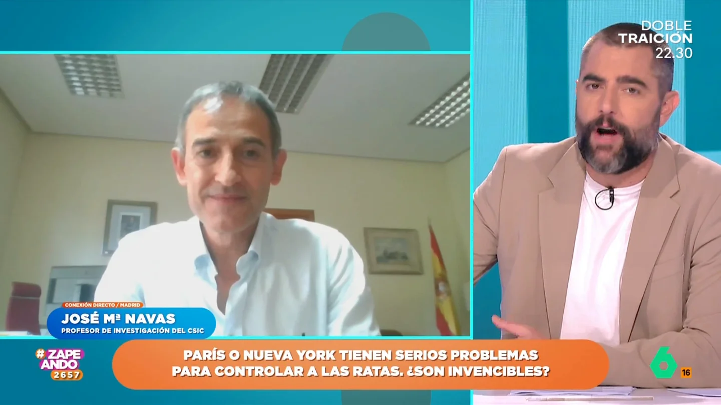 El investigador del CSIC José María Navas aclara si en España hay un problema de superpoblación de ratas En algunas ciudades es habitual ver ratas de gran tamaño en mitad de sus calles rebuscando entre la basura o, incluso, dentro de establecimientos. Unos animales que muchos medios ya han calificado como 'super ratas'.