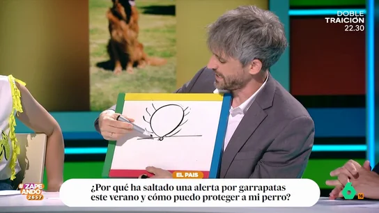¿Cómo se quitan las garrapatas? El veterinario Víctor Algra cuenta cómo hacerlo Con el aumento de la temperatura las garrapatas son más activas, esto hace que se deban aumentar las precauciones para evitar que estos parásitos puedan adherirse a las mascotas.