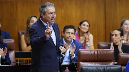 El secretario general del PSOE-A, Juan Espadas, interviene en el Parlamento andaluz este jueves. El secretario general del PSOE-A, Juan Espadas, interviene en el Parlamento andaluz este jueves.