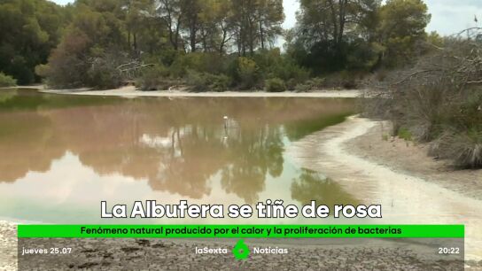 La Albufera de Valencia se ti&ntilde;e de rosa