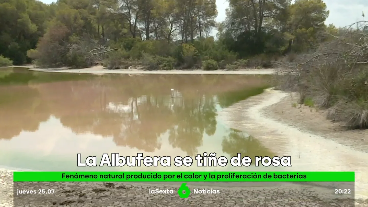 La Albufera de Valencia se tiñe de rosa La Albufera de Valencia se tiñe de rosa