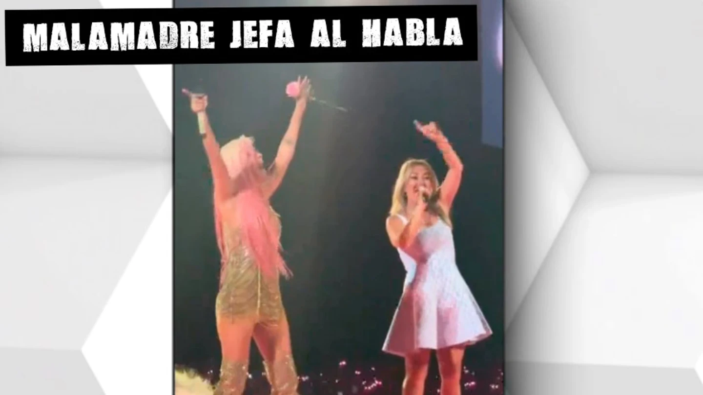 Momento en el que Amaia Montero canta en el concierto de Karol G Momento en el que Amaia Montero canta en el concierto de Karol G