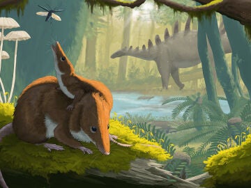 Los pequenos mamiferos del Jurasico crecian mas despacio que los actuales