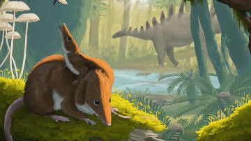 Los pequenos mamiferos del Jurasico crecian mas despacio que los actuales