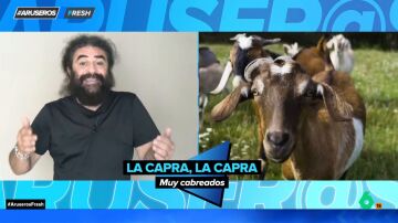 El Sevilla reacciona a la noticia de que un pueblo de Italia busca personas para que adopten cabras