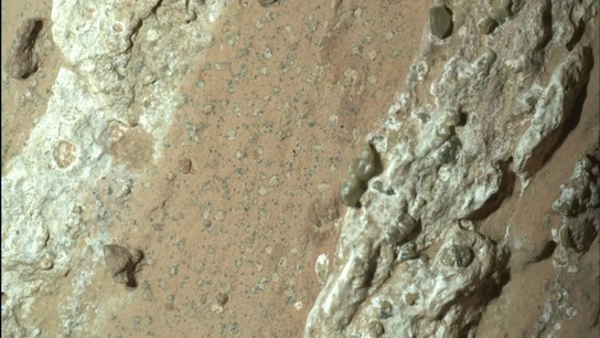 La NASA encuentra una roca en Marte con señales de posible vida microscópica hace miles de millones de años. La NASA encuentra una roca en Marte con señales de posible vida microscópica hace miles de millones de años.