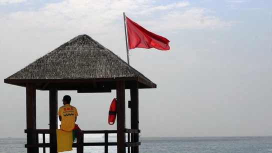 El protocolo de actuación de la Guardia Civil ante la amenaza de carabelas portuguesas en las playas Bandera roja en una playa