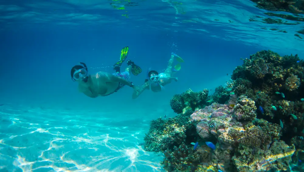 Buceo en las Islas Cook Buceo en las Islas Cook