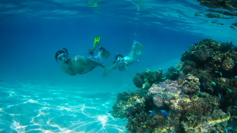 Buceo en las Islas Cook Buceo en las Islas Cook