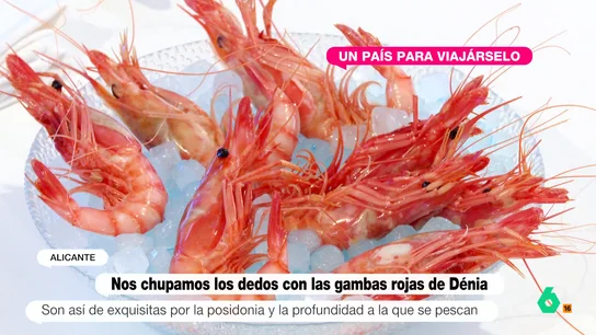 Más Vale Tarde Take Away (27-07-24) Luis Calero descubre el buen sabor de las gambas rojas de Denia Más Vale Tarde Take Away (27-07-24) Luis Calero descubre el buen sabor de las gambas rojas de Denia