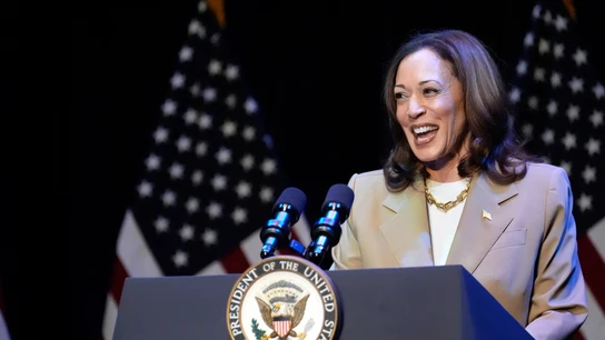 La vicepresidenta Kamala Harris pronuncia un discurso en un acto de campaña en Pittsfield, Massachusetts La vicepresidenta Kamala Harris pronuncia un discurso en un acto de campaña en Pittsfield, Massachusetts