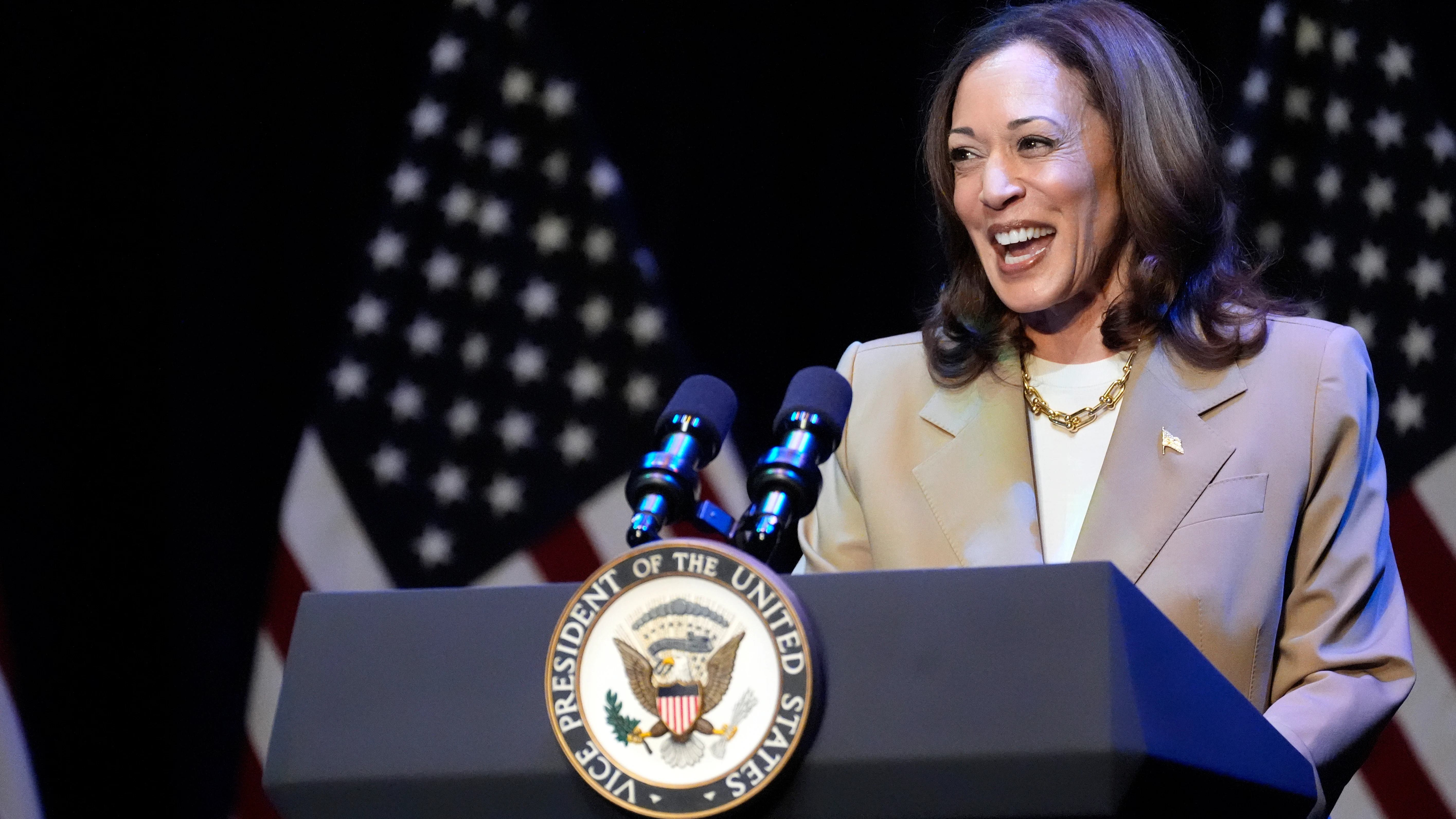 La vicepresidenta Kamala Harris pronuncia un discurso en un acto de campaña en Pittsfield, Massachusetts