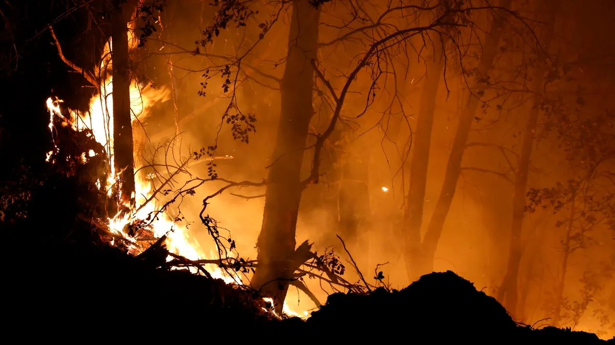 A massive fire in California has scorched more than 140,000 hectares and destroyed 134 buildings A massive fire in California has scorched more than 140,000 hectares and destroyed 134 buildings