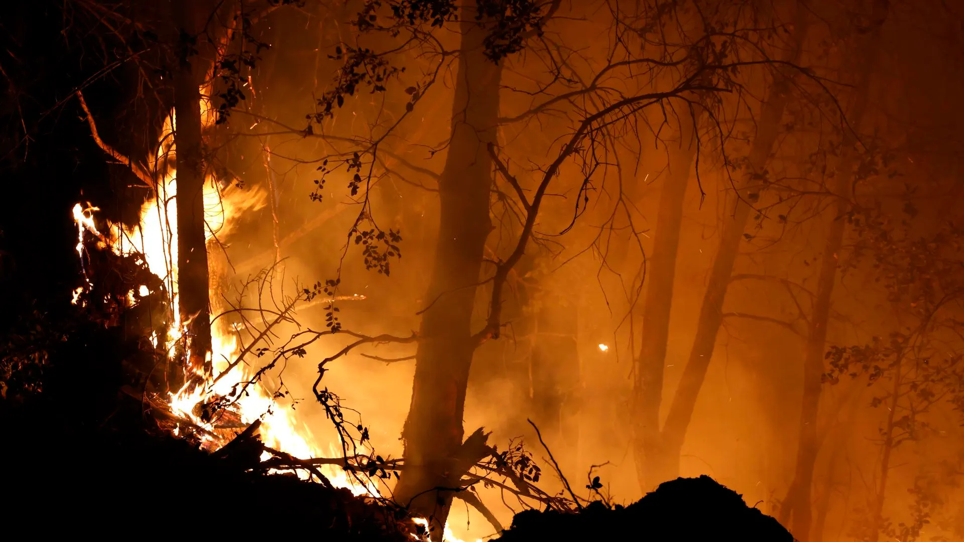 Imagen del incendio en California que ha arrasado con más de 140.000 hectáreas