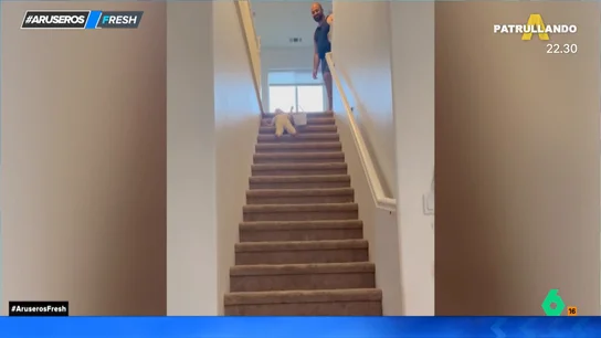 Como si fuera un tobogán: así baja las escaleras una niña que no sabe Como si fuera un tobogán: así baja las escaleras una niña que no sabe
