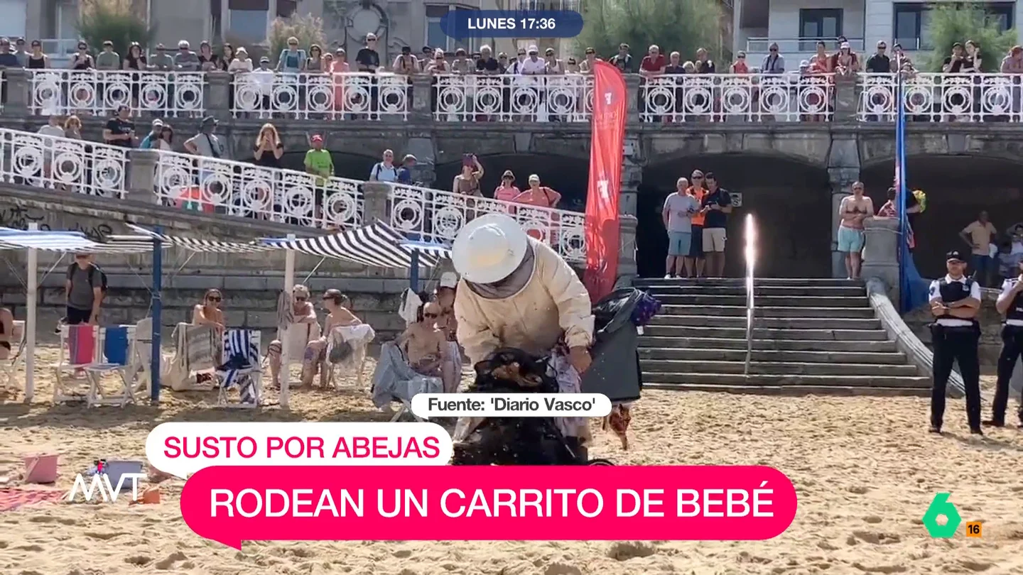 Abejas Abejas