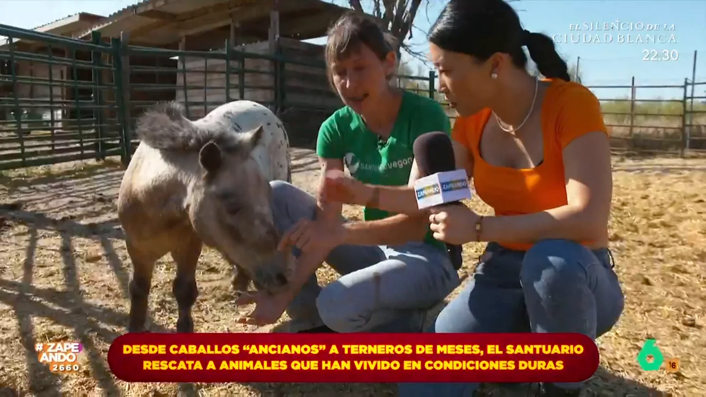 Jiaping visita un santuario de animales rescatados y se convierte en granjera por un día La reportera ha visitado el Santuario Vegan donde ha tenido la oportunidad de conocer su labor y las historias de varios de los animales de granja rescatados por esta fundación.