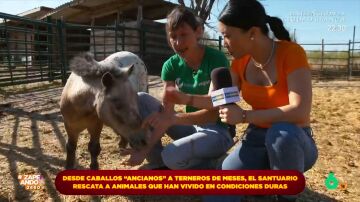 Jiaping visita un santuario de animales rescatados y se convierte en granjera por un día