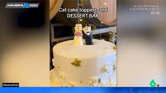 Una pareja que adora a los gatos decora su boda como si fuese un santuario felino: rascadores, ovillos de lana... Una pareja que adora a los gatos decora su boda como si fuese un santuario felino: rascadores, ovillos de lana...