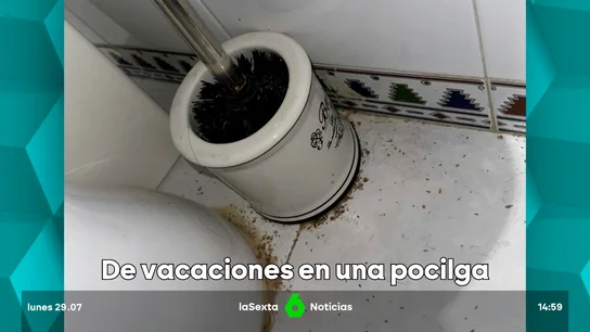 Alquilan un piso vacacional y lo encuentran lleno de cucarachas y larvas; solo reciben un 10% de compensación Alquilan un piso vacacional y lo encuentran lleno de cucarachas y larvas; solo reciben un 10% de compensación