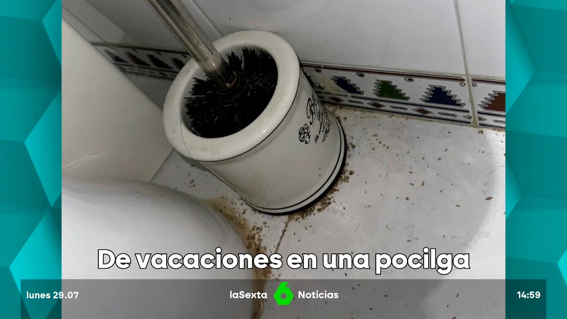 Alquilan un piso vacacional y lo encuentran lleno de cucarachas y larvas; solo reciben un 10% de compensación