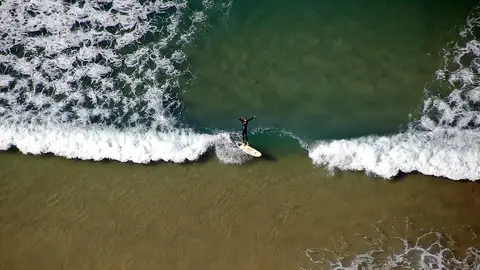Surfer Surfer