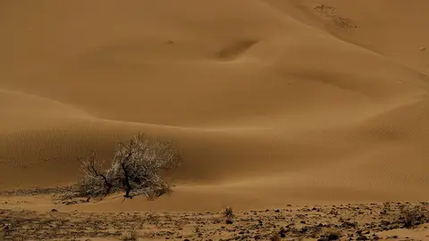 Desierto de Lut Desierto de Lut