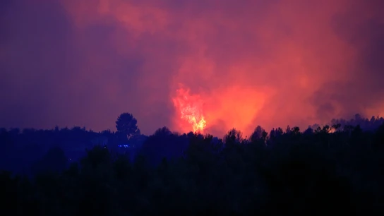 Incendio forestal de Benasau (Alicante) Incendio forestal de Benasau (Alicante)