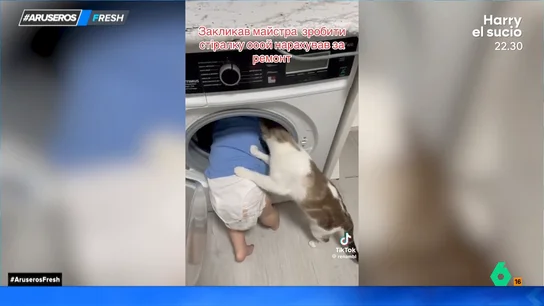 La divertida 'lucha' de un curioso bebé con su gato al no dejarle ver lo que hay en el interior de la lavadora La divertida 'lucha' de un curioso bebé con su gato al no dejarle ver lo que hay en el interior de la lavadora