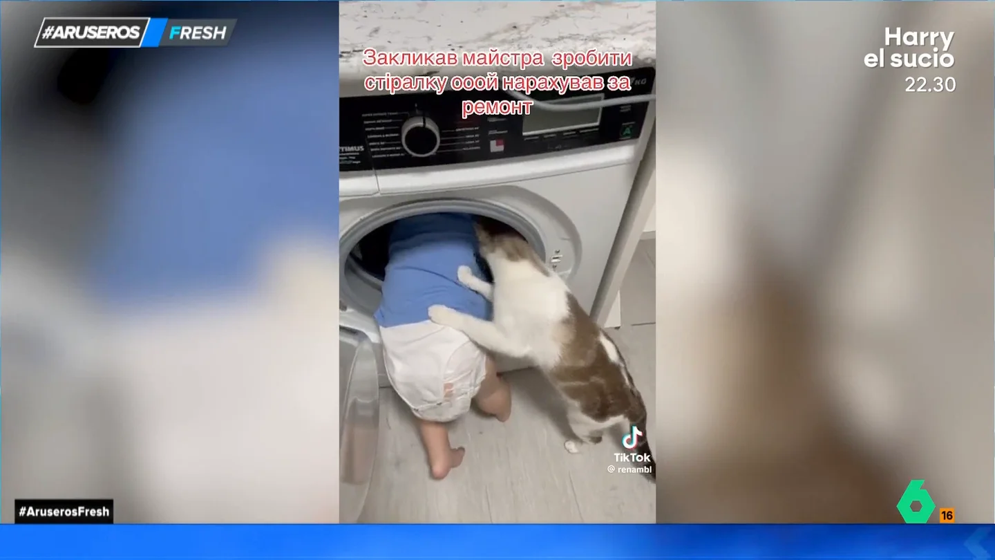La divertida 'lucha' de un curioso bebé con su gato al no dejarle ver lo que hay en el interior de la lavadora La divertida 'lucha' de un curioso bebé con su gato al no dejarle ver lo que hay en el interior de la lavadora