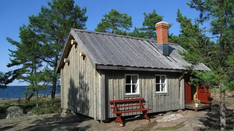 Sviskär Sviskär